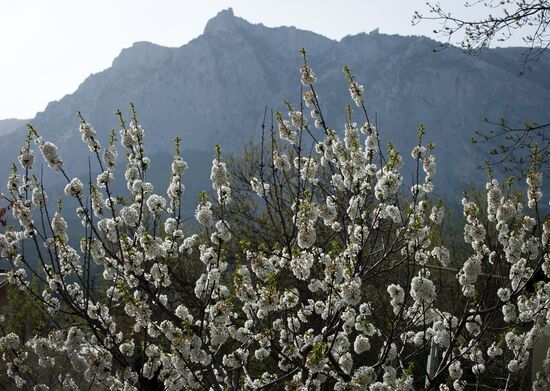 Весна в Крыму