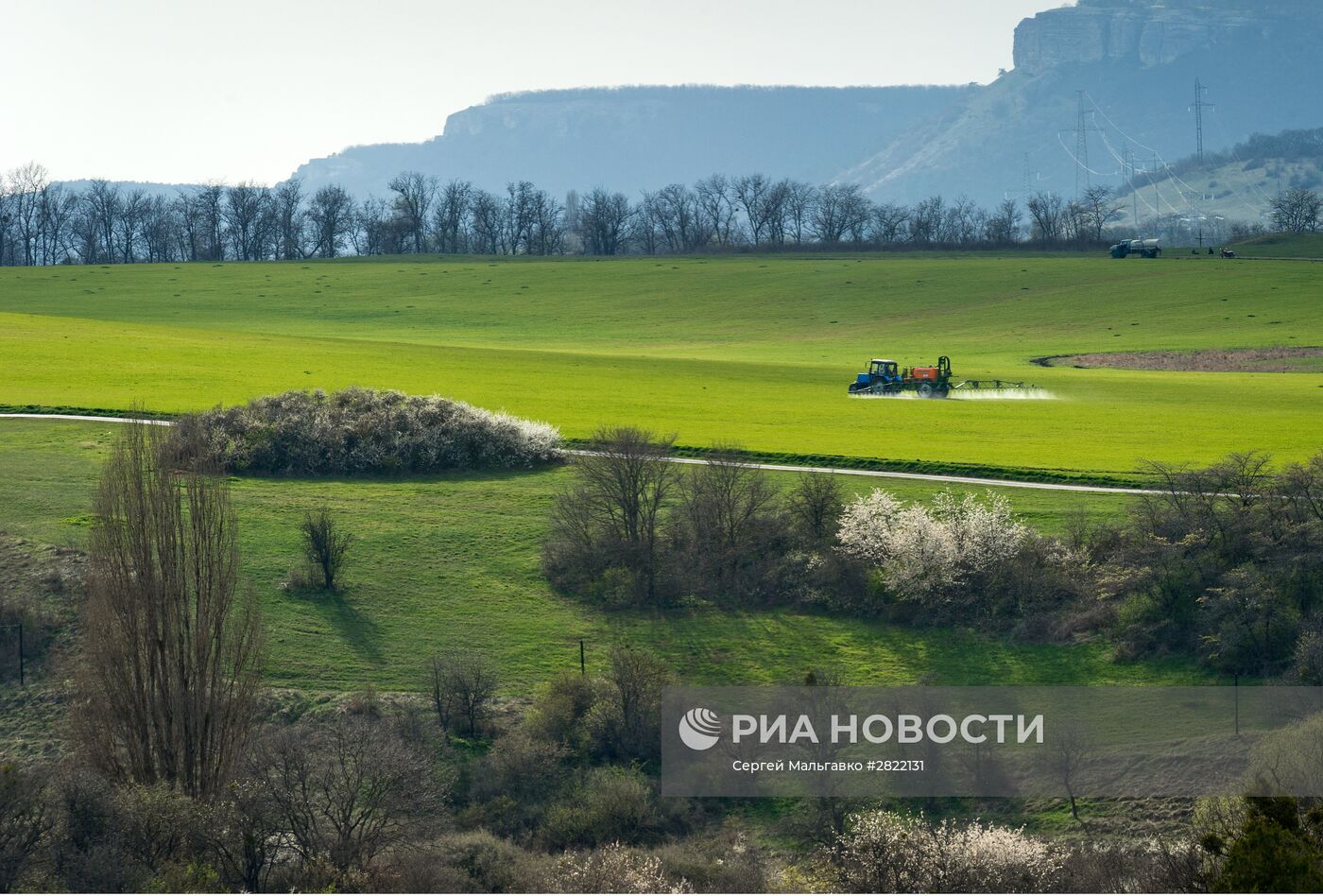 Весна в Крыму