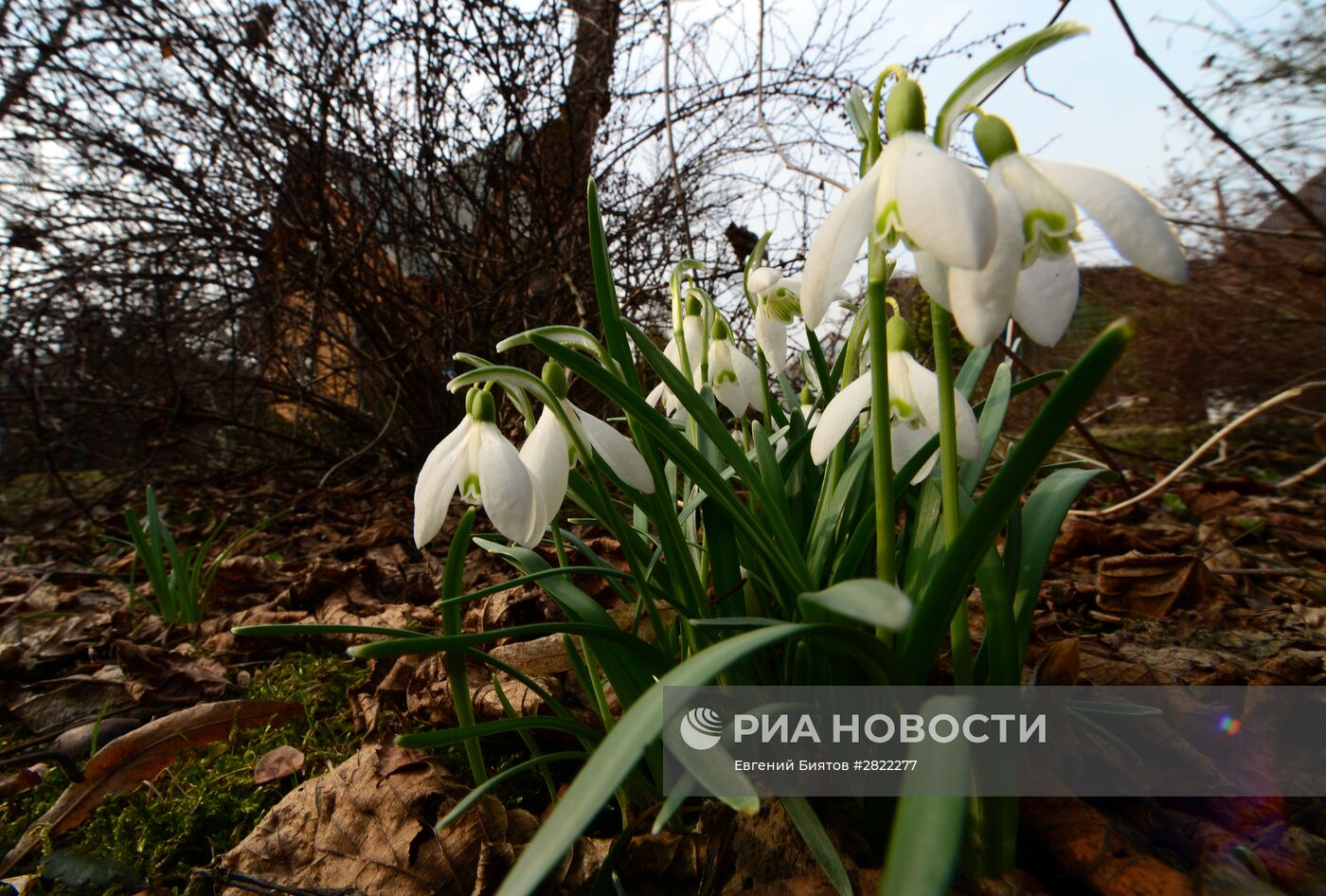 Повседневная жизнь