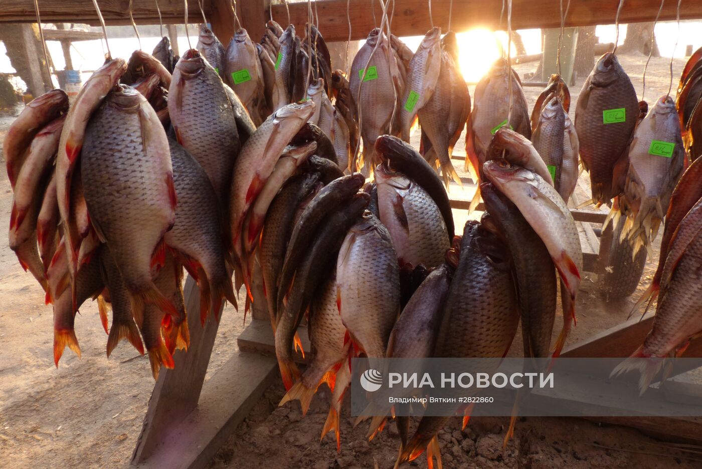 Рыбалка в Астраханской области