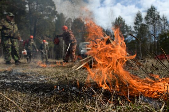 Практическая тренировка по отработке действий при возникновении лесного пожара в Новосибирской области