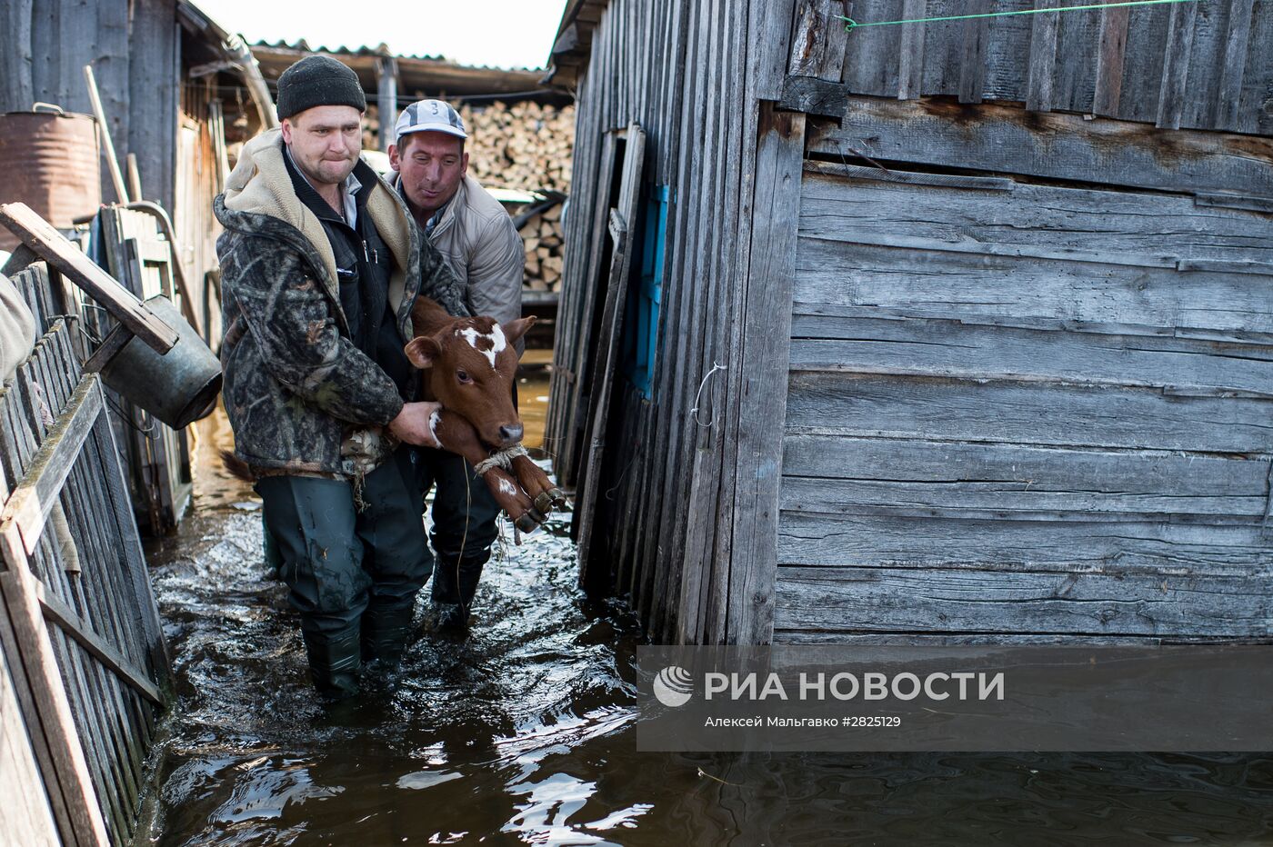 Паводок в Омской области