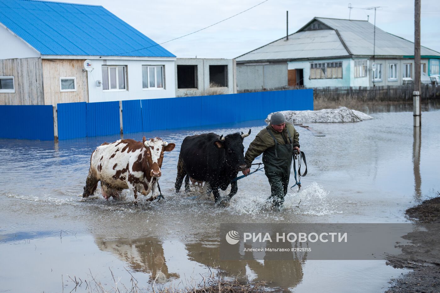 Паводок в Омской области