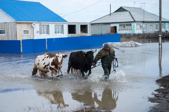Паводок в Омской области