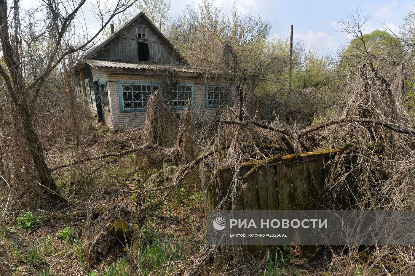 Белорусский сектор зоны отчуждения Чернобыльской АЭС