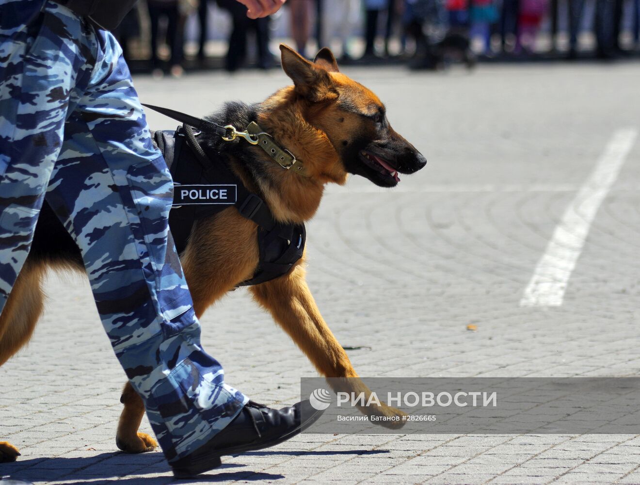 Показательные выступления сотрудников МВД в Севастополе