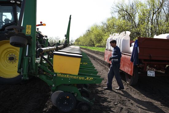 Весенняя посевная в Краснодарском крае