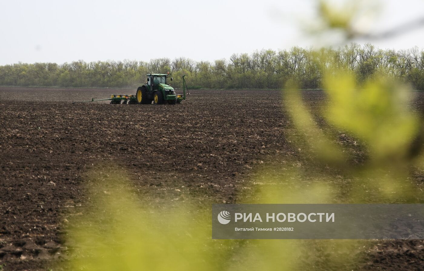 Весенняя посевная в Краснодарском крае