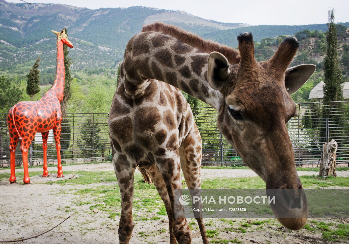 Открытие зоопарка "Сказка" в Крыму
