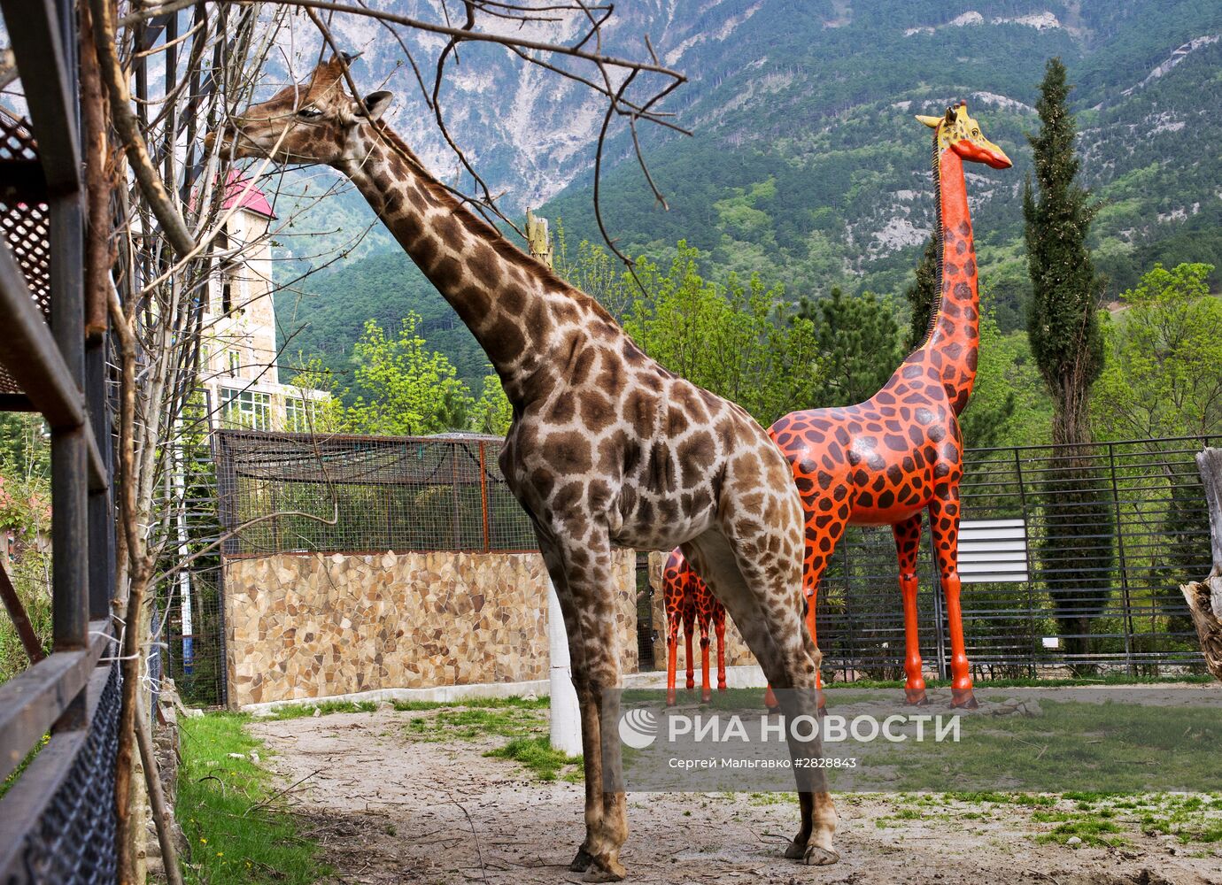 Открытие зоопарка "Сказка" в Крыму