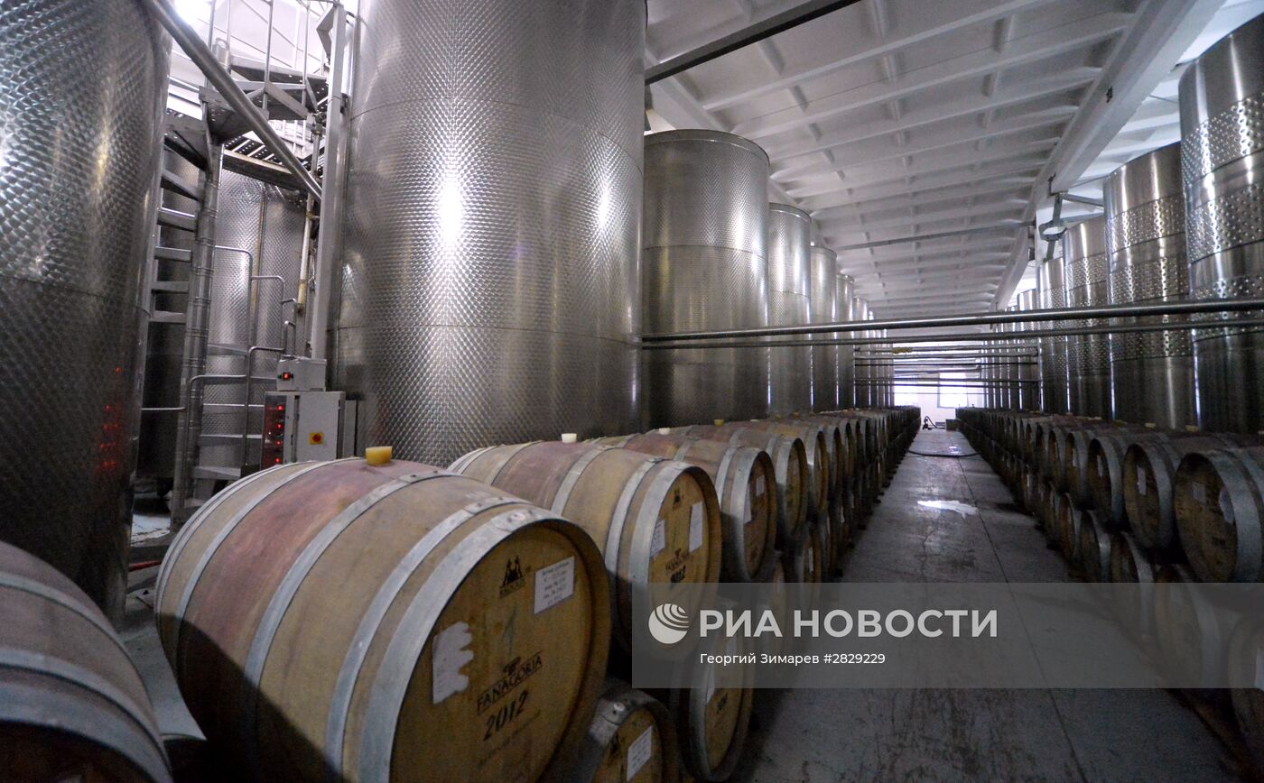 Производство вина "Крымский мост" в Краснодарском крае