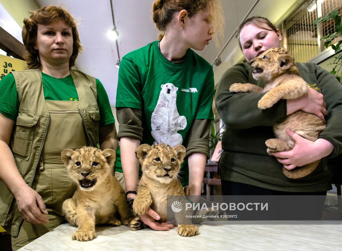 Пополнение в Ленинградском зоопарке