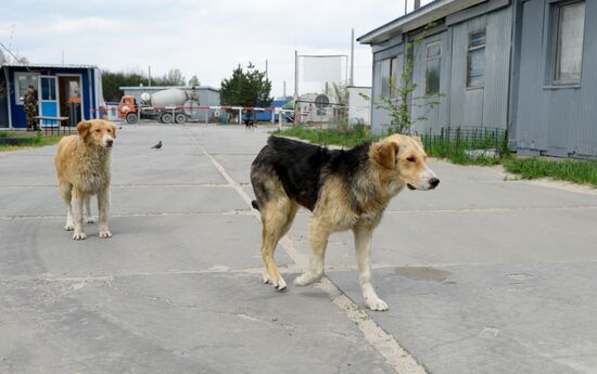 Зона отчуждения ЧАЭС