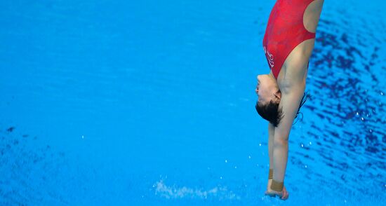 Прыжки в воду. Мировая серия FINA. Второй день