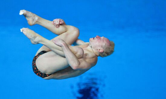 Прыжки в воду. Мировая серия FINA. Второй день