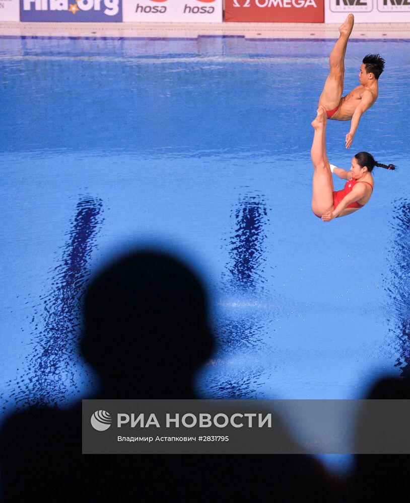 Прыжки в воду. Мировая серия FINA. Третий день