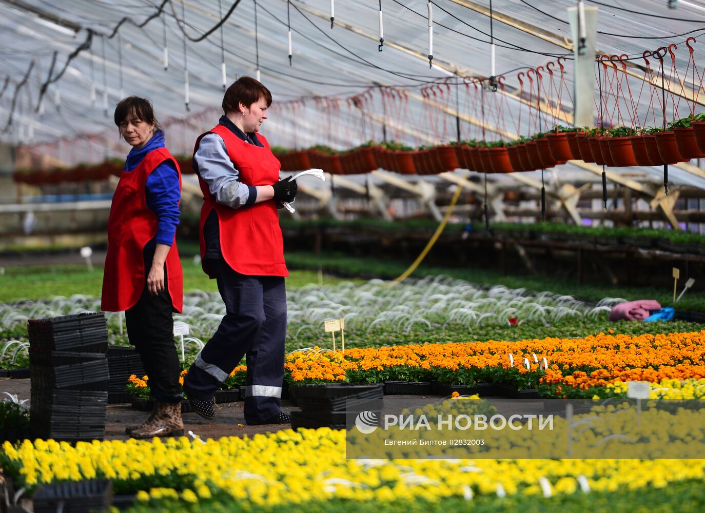 Мэр Москвы С. Собянин посетил ГУП "Мосзеленхоз"