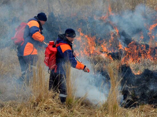 Учения МЧС по борьбе с пожарами в городах России