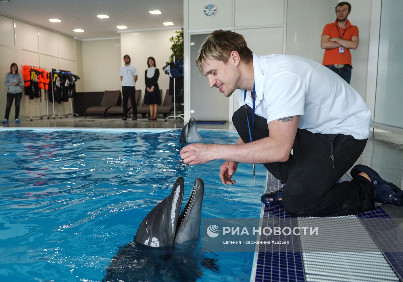 Открытие "Центра плавания с дельфинами" в Москве