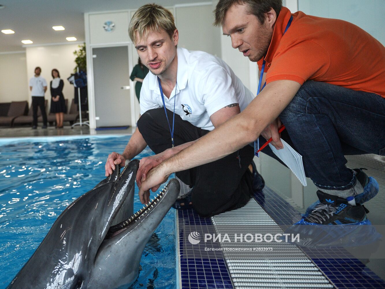 Открытие "Центра плавания с дельфинами" в Москве