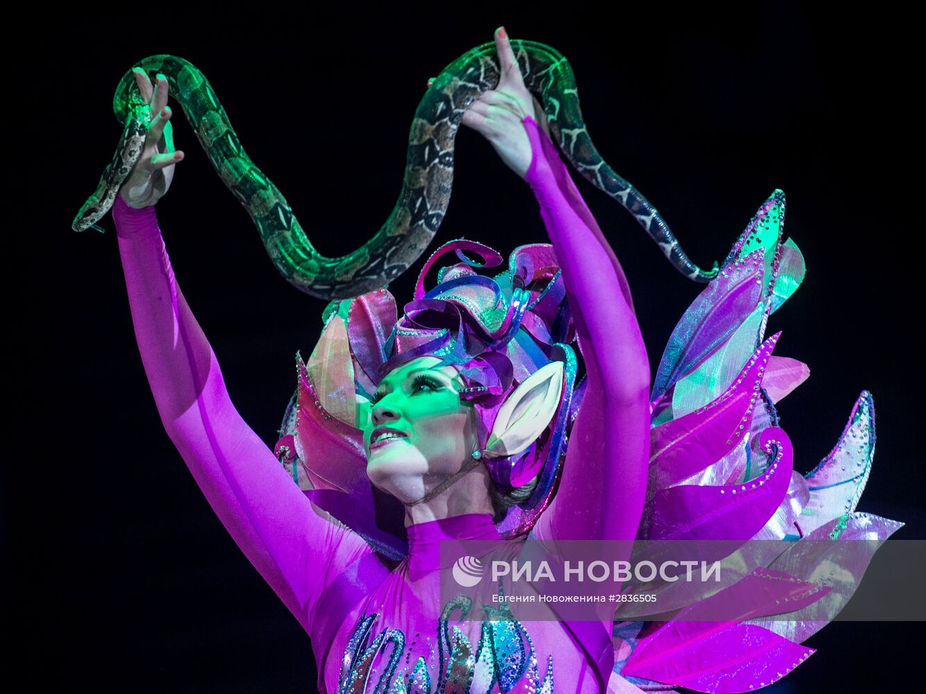 Презентация новой цирковой программы "Посланник"