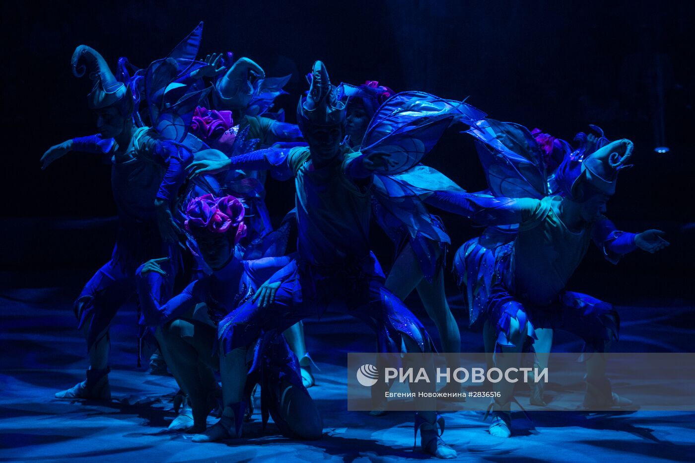 Презентация новой цирковой программы "Посланник"