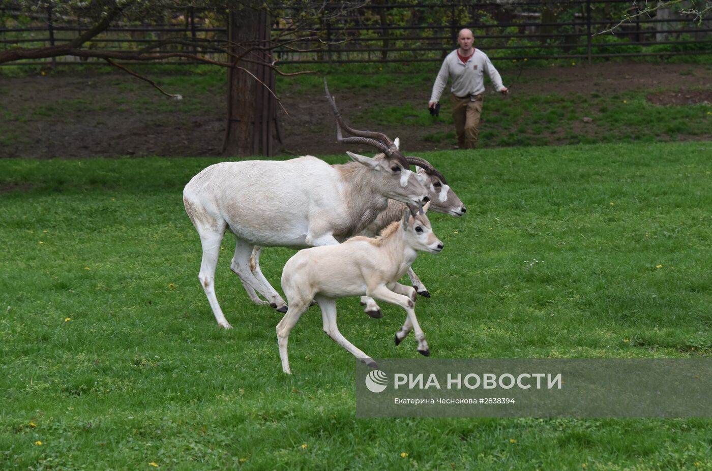 Пражский зоопарк