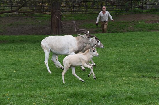 Пражский зоопарк