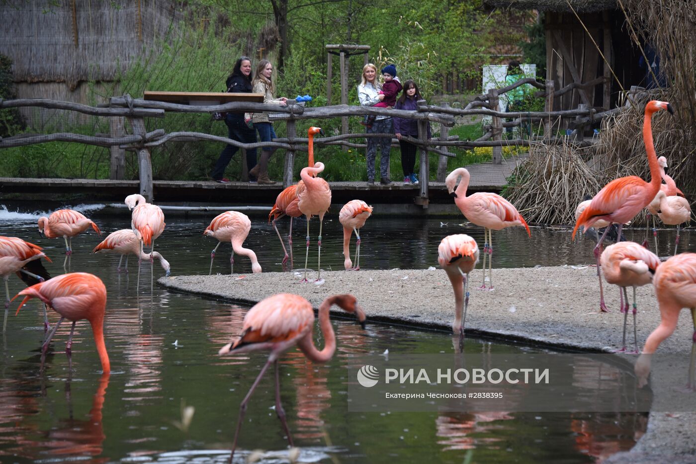 Пражский зоопарк