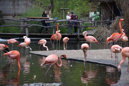 Пражский зоопарк