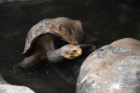 Пражский зоопарк