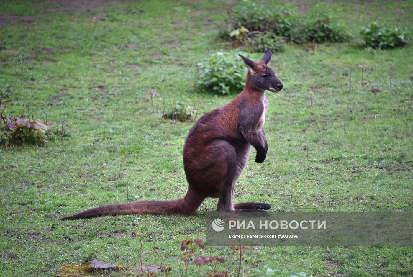 Пражский зоопарк