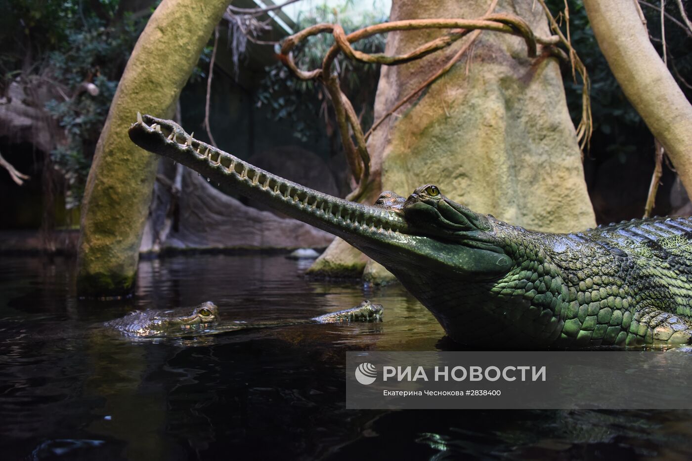 Пражский зоопарк