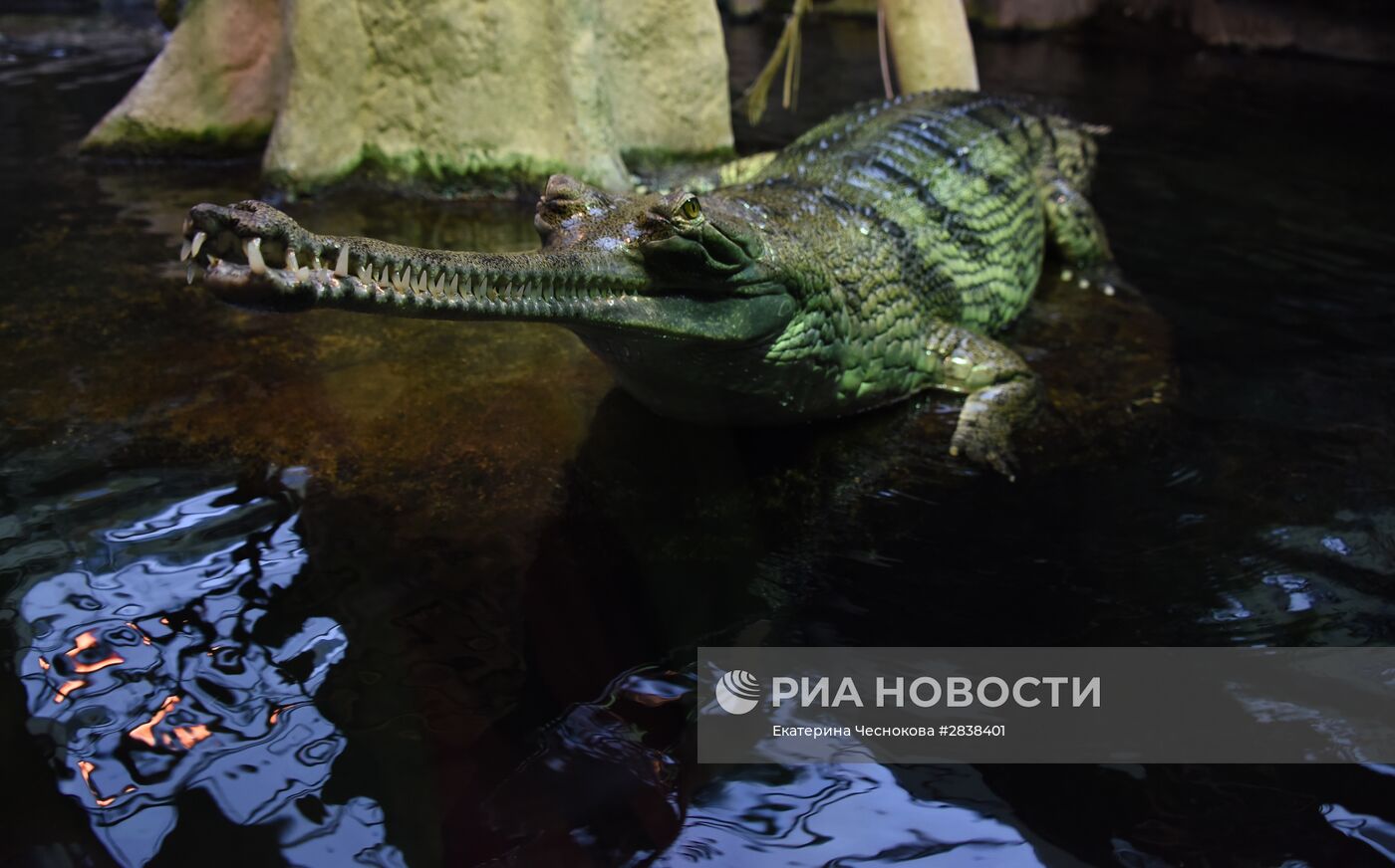 Пражский зоопарк