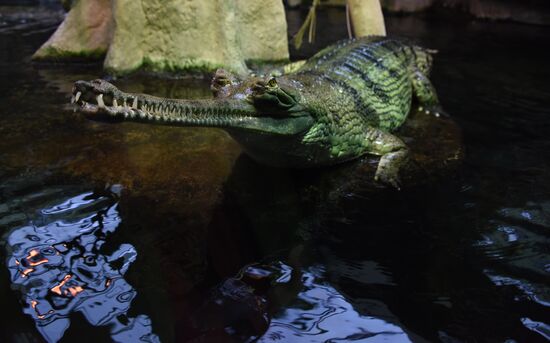 Пражский зоопарк