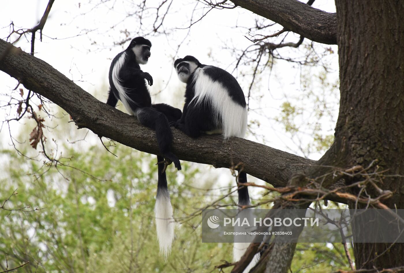 Пражский зоопарк