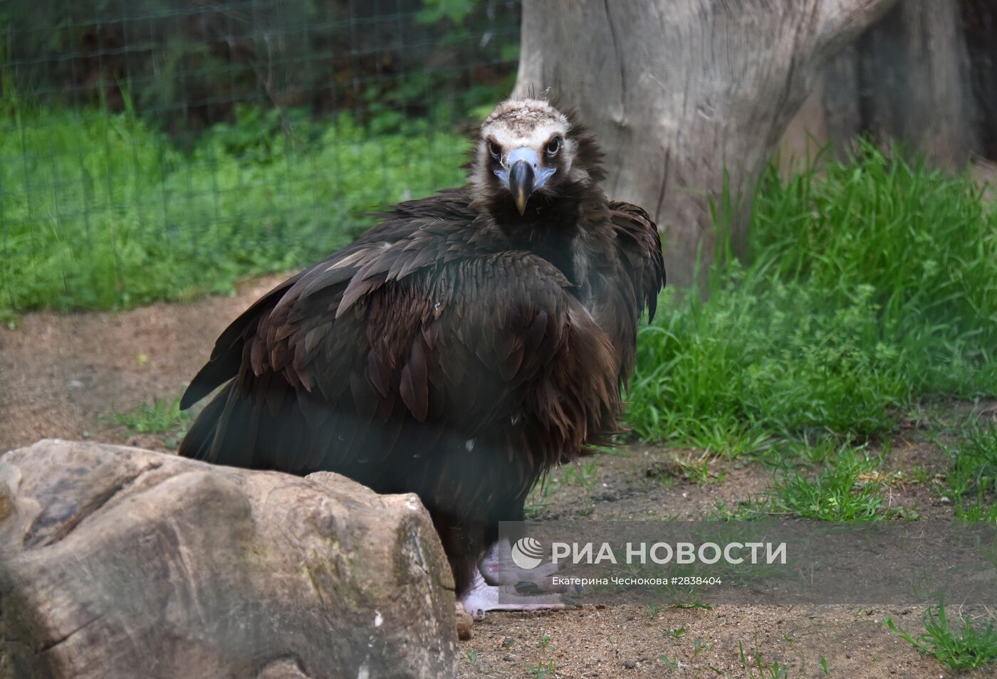 Пражский зоопарк