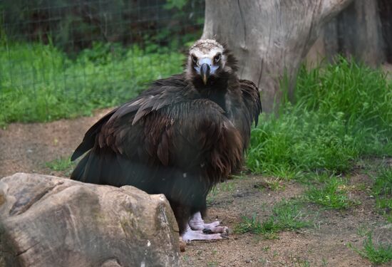 Пражский зоопарк