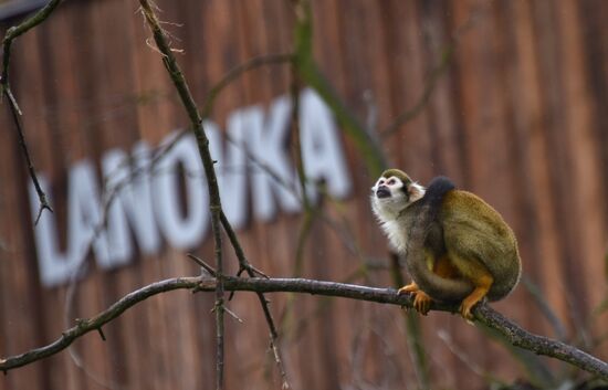 Пражский зоопарк