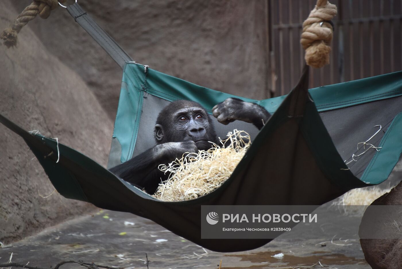 Пражский зоопарк