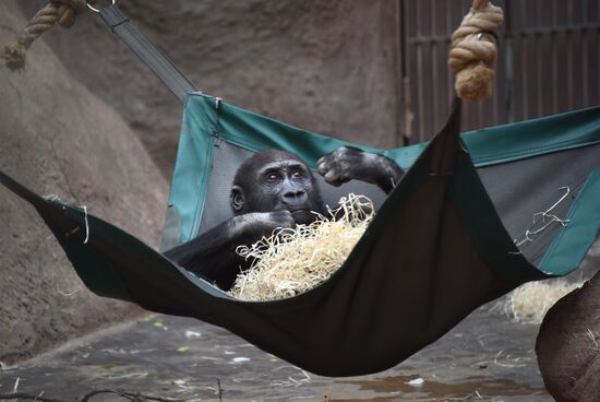 Пражский зоопарк