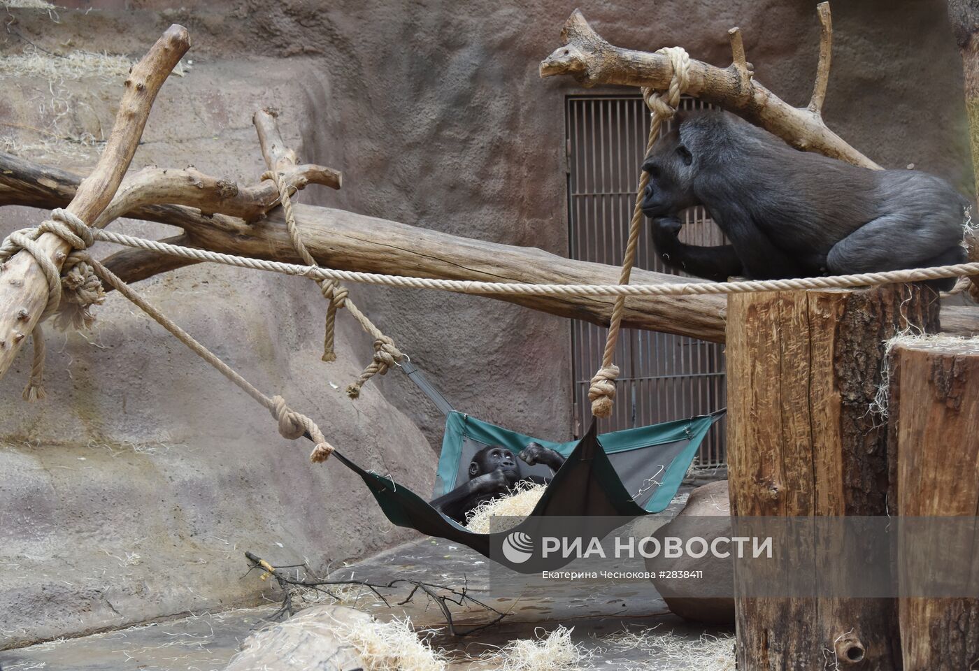 Пражский зоопарк