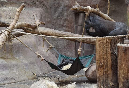 Пражский зоопарк