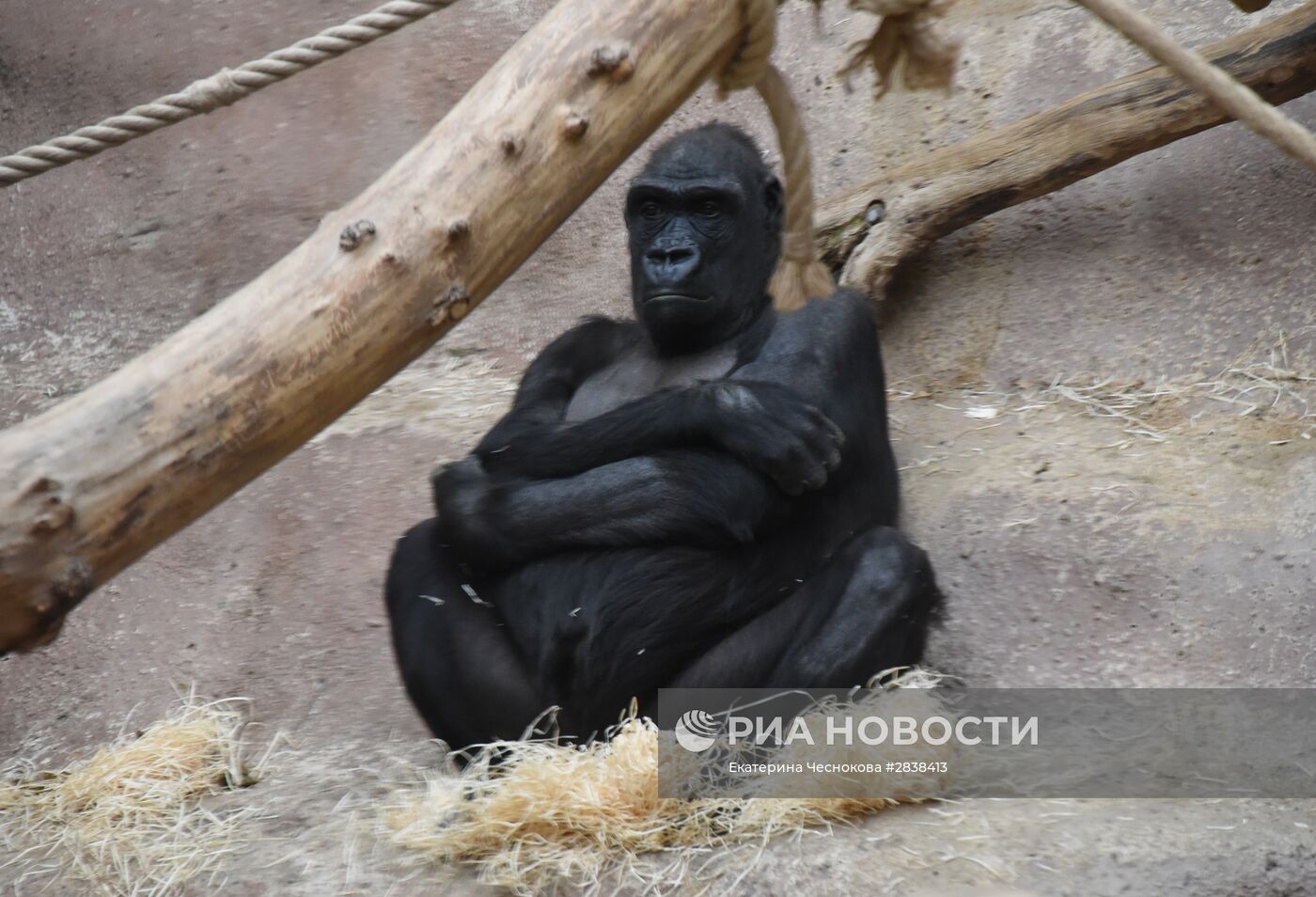 Пражский зоопарк