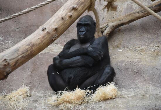 Пражский зоопарк