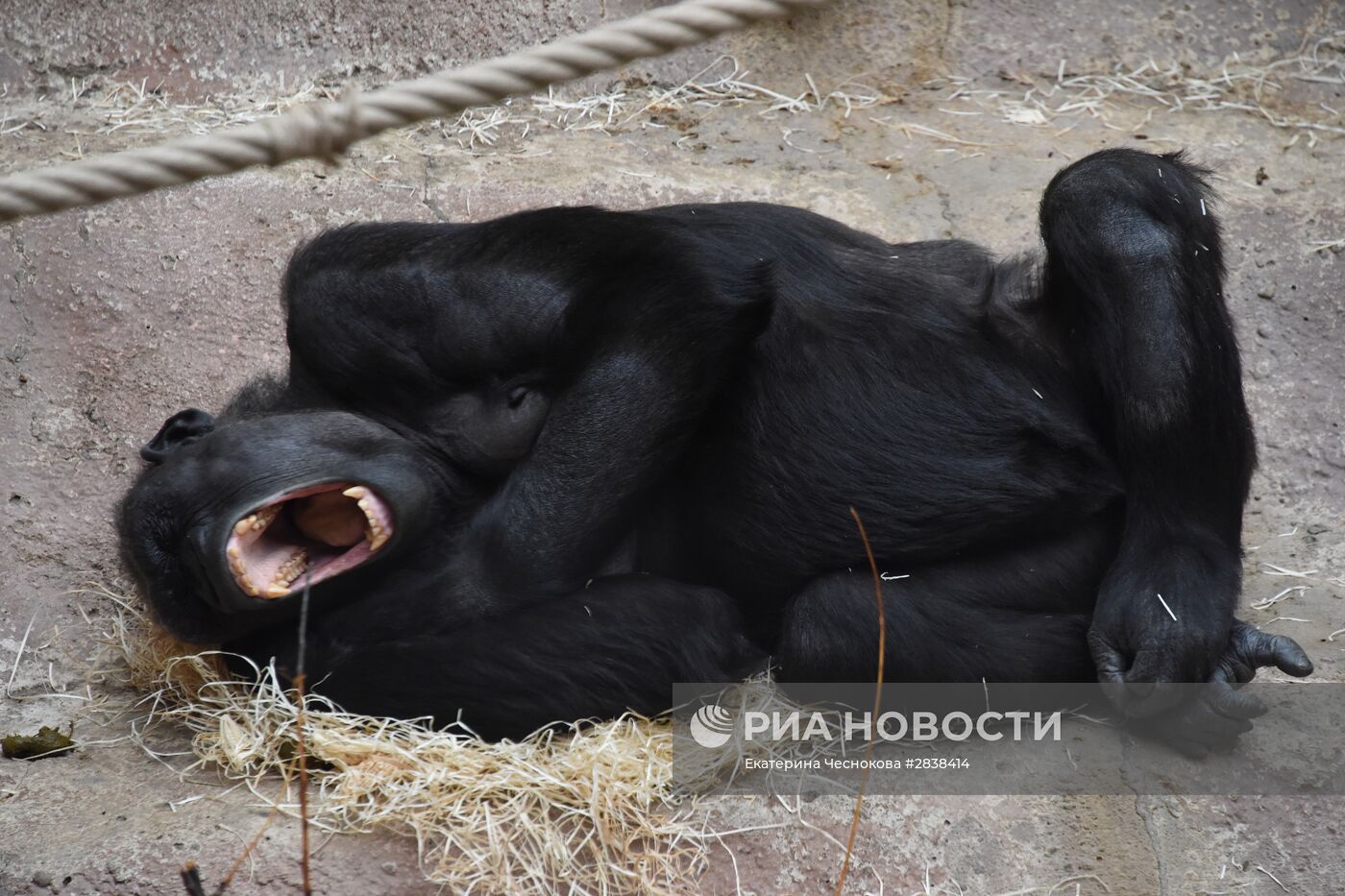 Пражский зоопарк