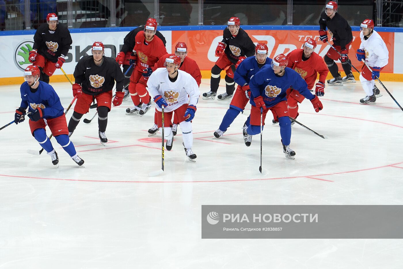 Тренировки сборных перед чемпионатом мира 2016