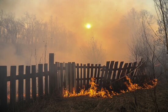 Лесные пожары в Амурской области