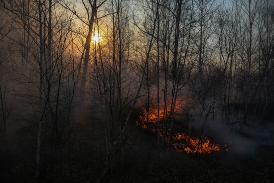 Лесные пожары в Амурской области