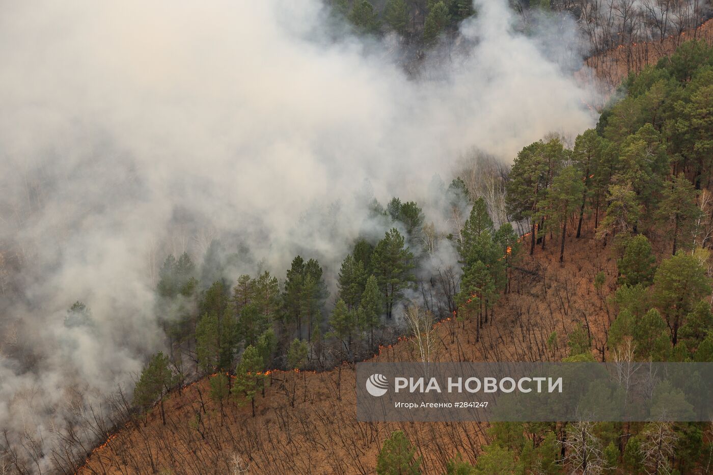 Природные пожары в Амурской области